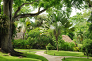 Landscaped Gardens at Chaa Creek