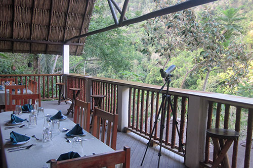 Dining Area has communal open air dining overlooking the Macal River
