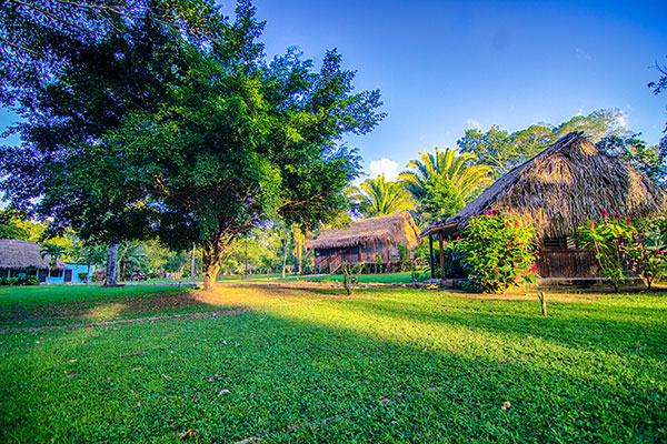 Overview of Bocawina Rainforest Resort