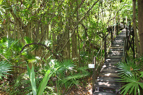Trail in garden behind resort
